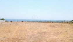 Οικόπεδο  (4)