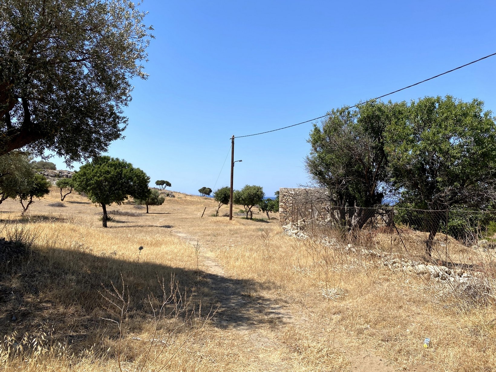 ΑΓΡΟΤΕΜΑΧΙΟ ΓΙΑ ΞΕΝΟΔΟΧΕΙΟ 70000 τ.μ.