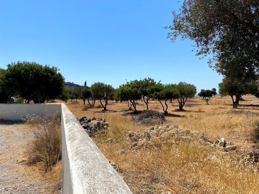 ΑΓΡΟΤΕΜΑΧΙΟ ΓΙΑ ΞΕΝΟΔΟΧΕΙΟ 70000 τ.μ. (2)