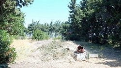 Μονοκατοικία  (5)