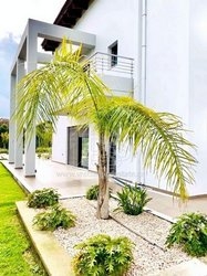 Μονοκατοικία  (4)