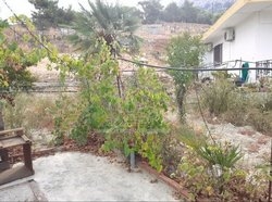 Κατοικία  (4)