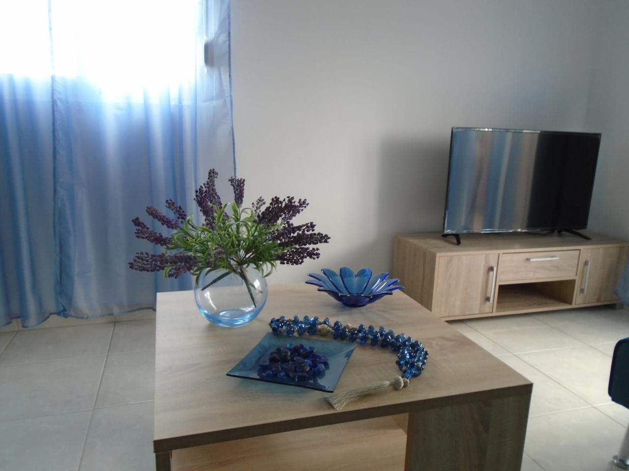 Διαμέρισμα  (13)