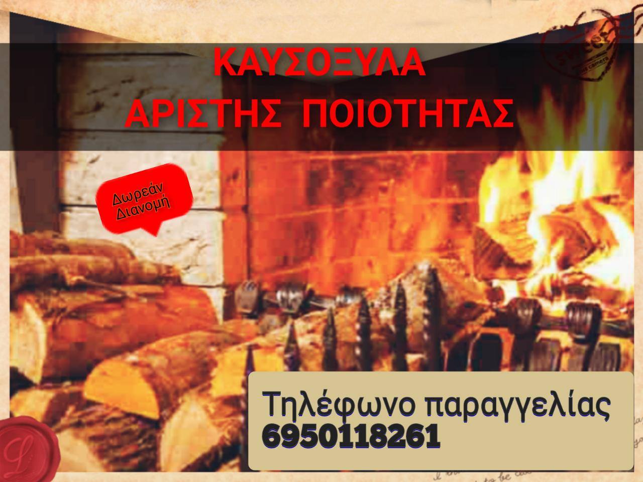 ΚΑΥΣΟΞΥΛΑ (2)