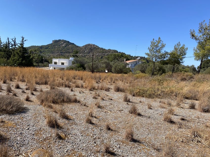 ΑΓΡΟΤΕΜΑΧΙΟ 4000 τ.μ. (2)