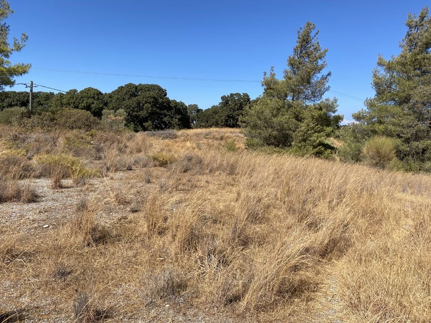 ΑΓΡΟΤΕΜΑΧΙΟ 4000 τ.μ. (3)