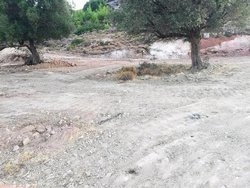 Οικόπεδο  (3)