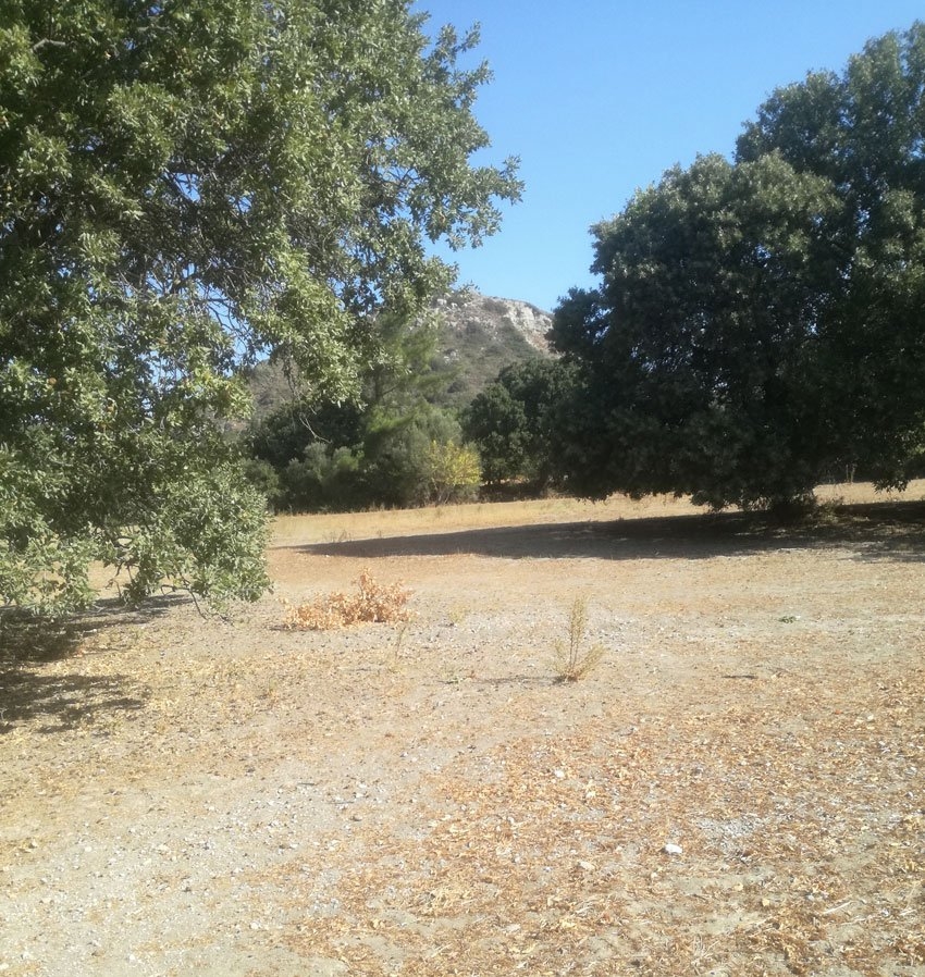 ΑΓΡΟΤΕΜΑΧΙΟ 6300 τ.μ. (2)