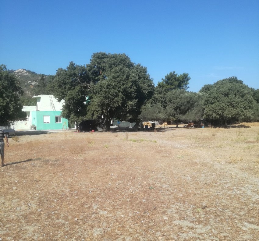 ΑΓΡΟΤΕΜΑΧΙΟ 6300 τ.μ. (3)