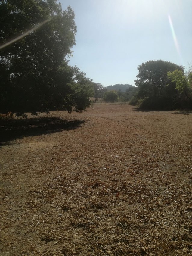 ΑΓΡΟΤΕΜΑΧΙΟ 6300 τ.μ. (4)