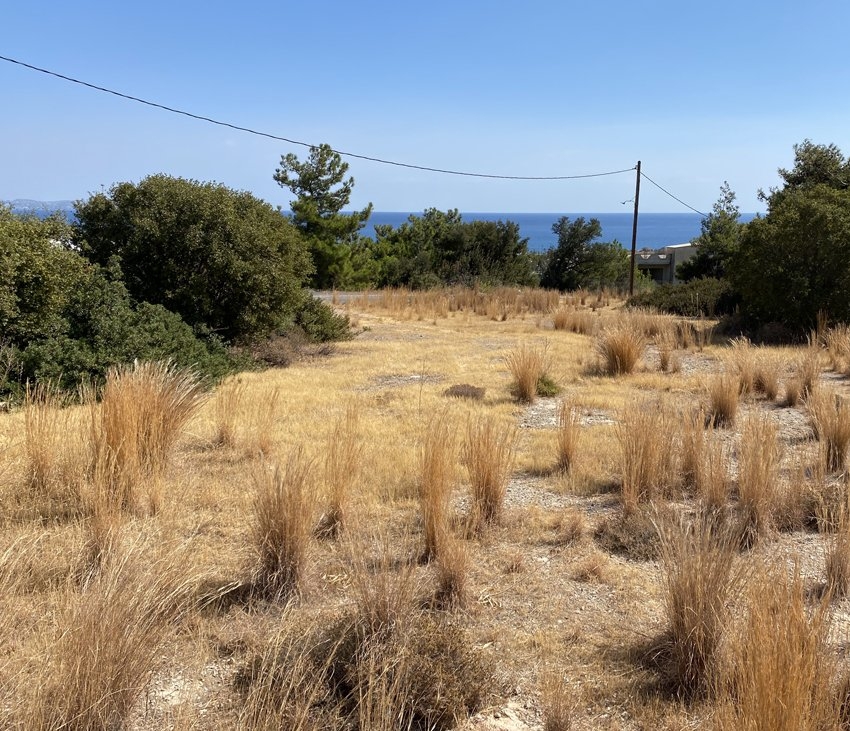 ΟΙΚΟΠΕΔΟ 550 τ.μ.