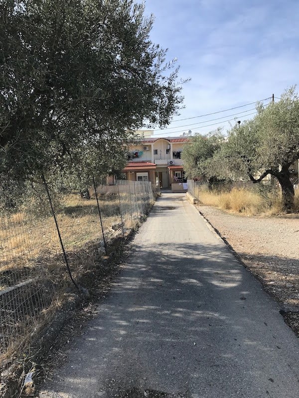 ΟΙΚΟΠΕΔΟ 320 τ.μ. (4)