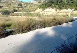 Οικόπεδο  (3)