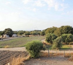 Μονοκατοικία  (4)