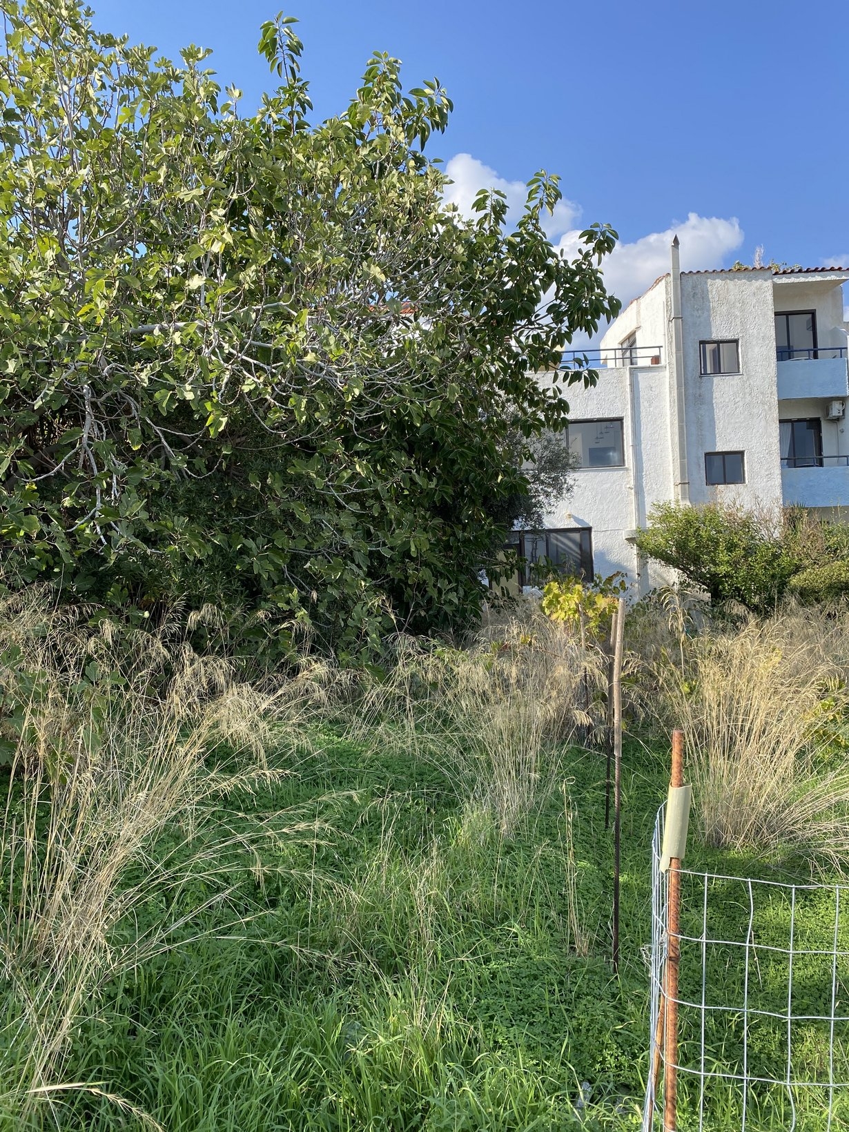 ΟΙΚΟΠΕΔΟ 102 τ.μ. (2)