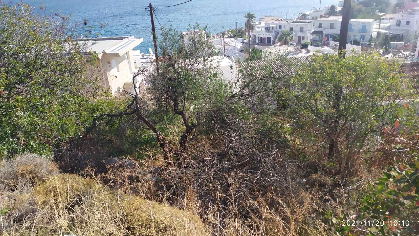 ΟΙΚΟΠΕΔΟ 800 τ.μ. (2)