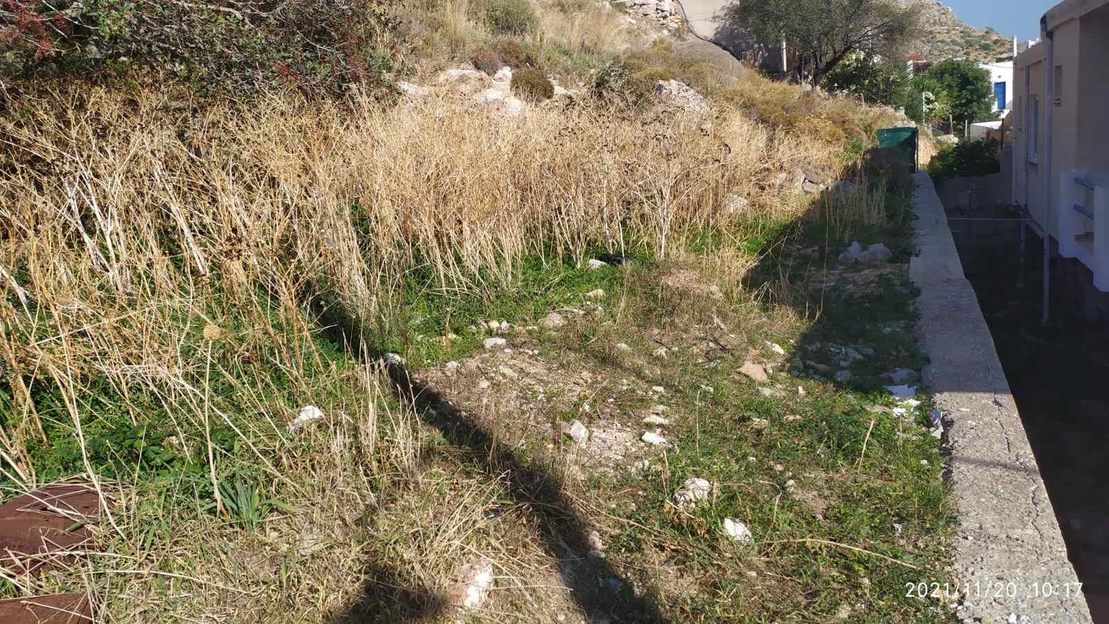 ΟΙΚΟΠΕΔΟ 800 τ.μ. (3)