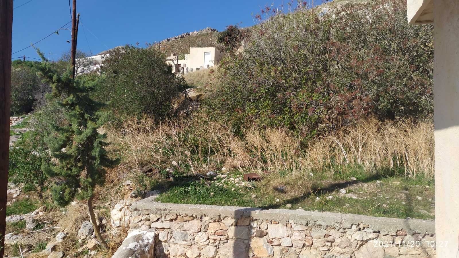 ΟΙΚΟΠΕΔΟ 800 τ.μ. (4)