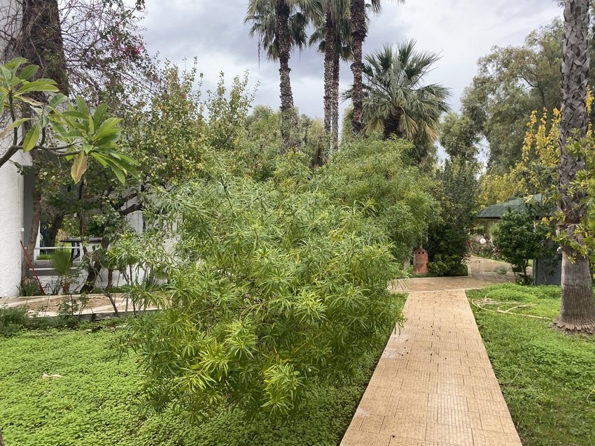 ΜΟΝΟΚΑΤΟΙΚΙΑ 370 τ.μ.