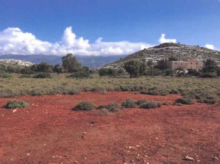 ΑΓΡΟΤΕΜΑΧΙΟ 6715 τ.μ.