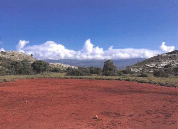 ΑΓΡΟΤΕΜΑΧΙΟ 6715 τ.μ. (2)