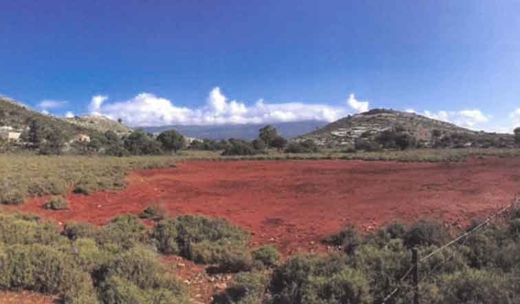 ΑΓΡΟΤΕΜΑΧΙΟ 6715 τ.μ. (3)