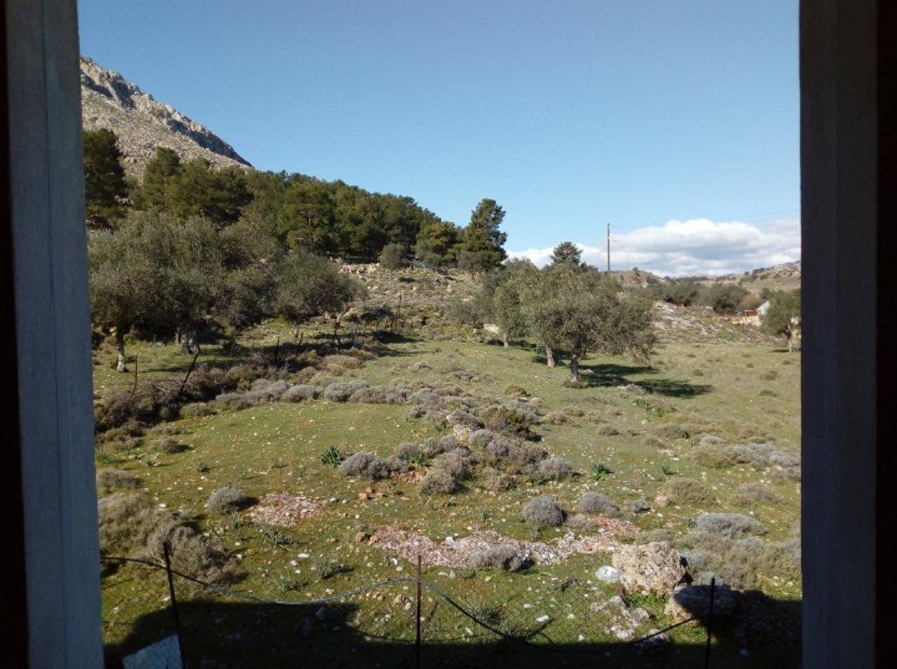 Μονοκατοικία  (15)