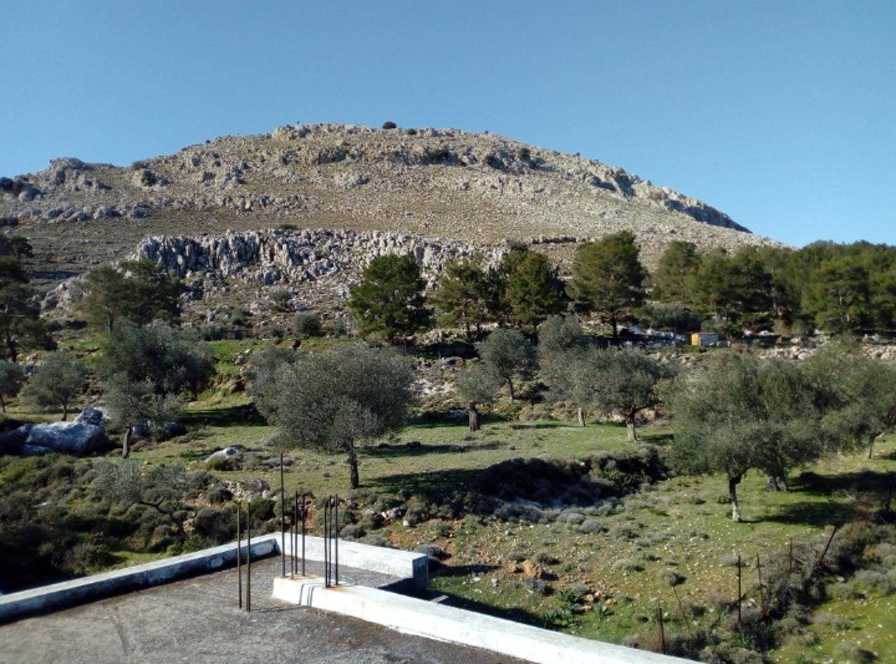 Μονοκατοικία  (17)