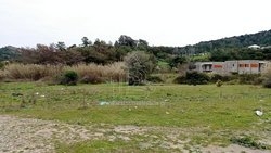 Οικόπεδο  (3)