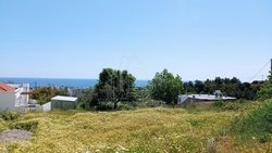 Οικόπεδο  (2)