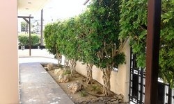 Μονοκατοικία 