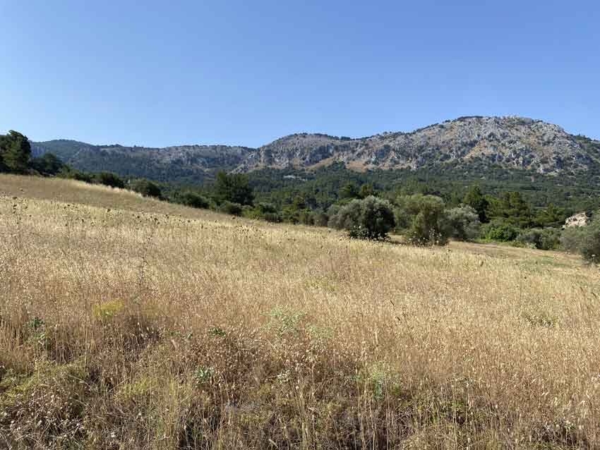 ΑΓΡΟΤΕΜΑΧΙΟ 7000 τ.μ.