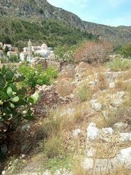 Οικόπεδο  (4)