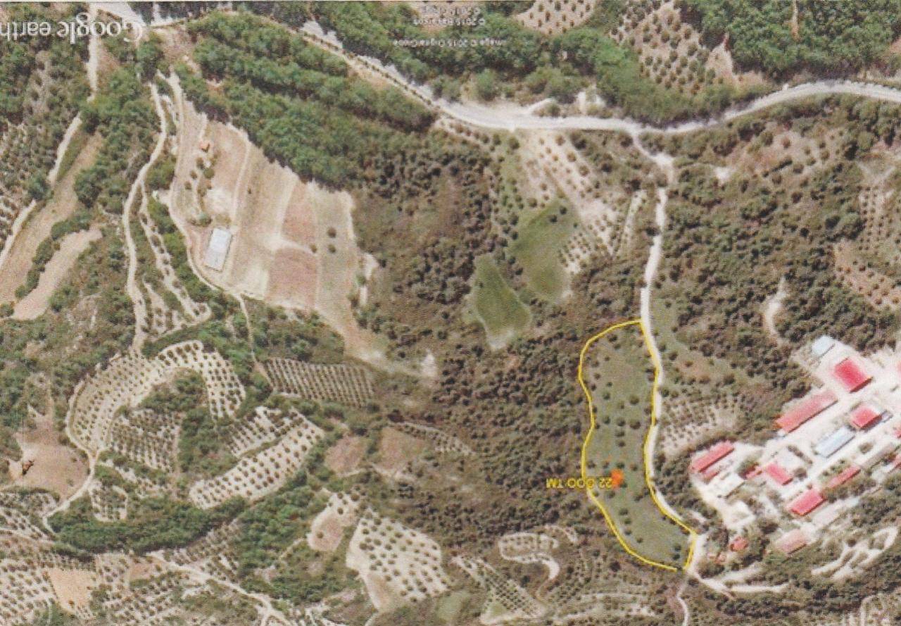 Αγροτεμάχιο  (2)