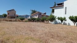 Οικόπεδο  (3)