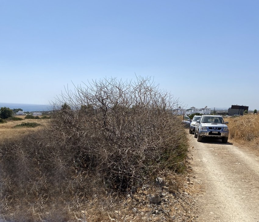 ΑΓΡΟΤΕΜΑΧΙΟ 6300 τ.μ. (2)