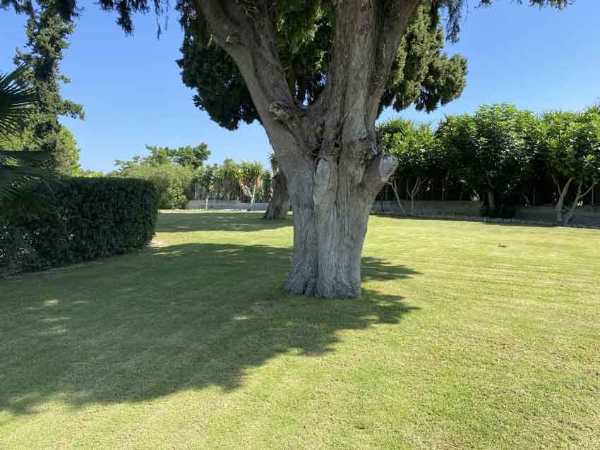 ΜΟΝΟΚΑΤΟΙΚΙΑ 433 τ.μ. (4)