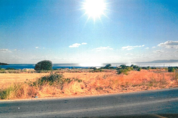 ΟΙΚΟΠΕΔΟ 2840 τ.μ. (2)