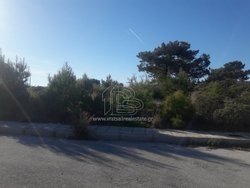 Οικόπεδο  (2)