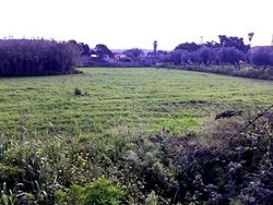 Οικόπεδο  (2)