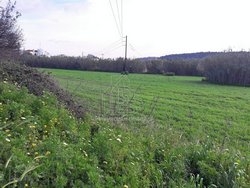 Οικόπεδο  (3)