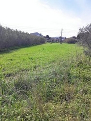 Οικόπεδο  (4)