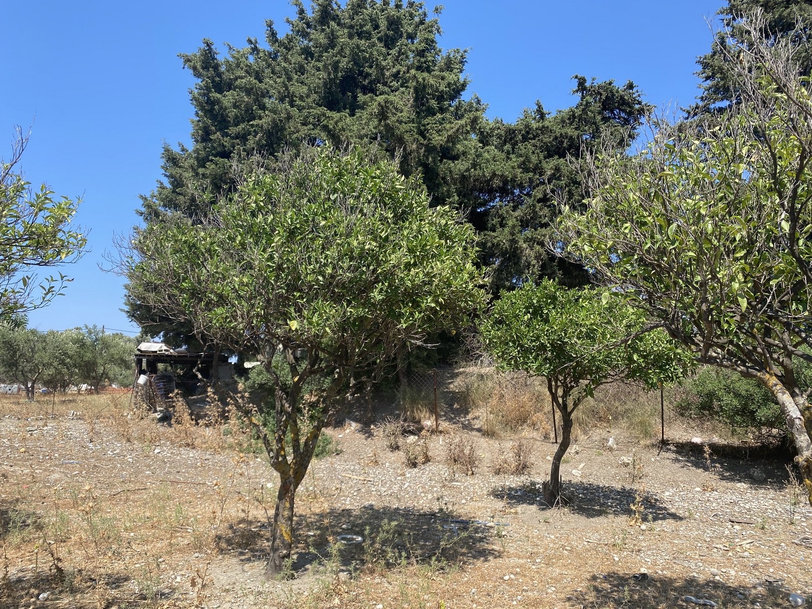 ΑΓΡΟΤΕΜΑΧΙΟ 4500 τ.μ.