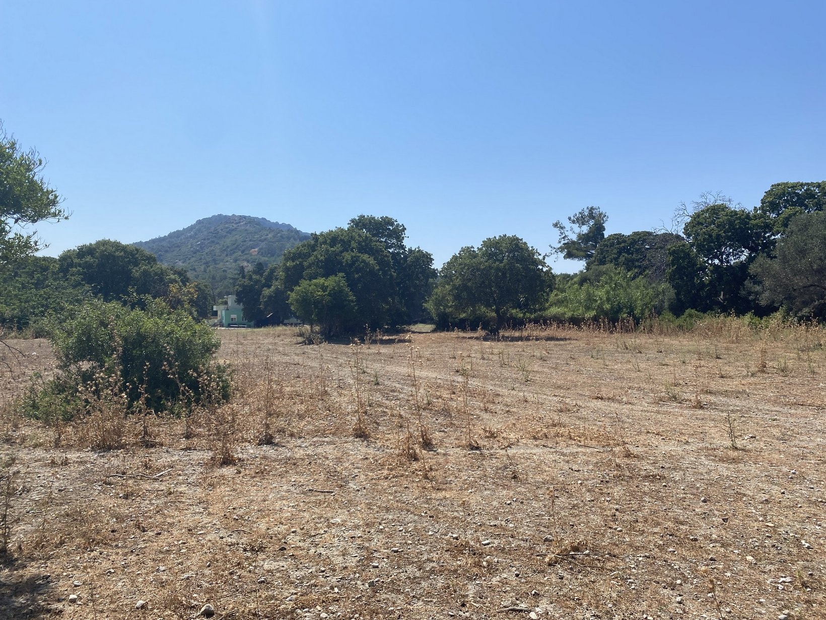 ΑΓΡΟΤΕΜΑΧΙΟ 4500 τ.μ. (2)