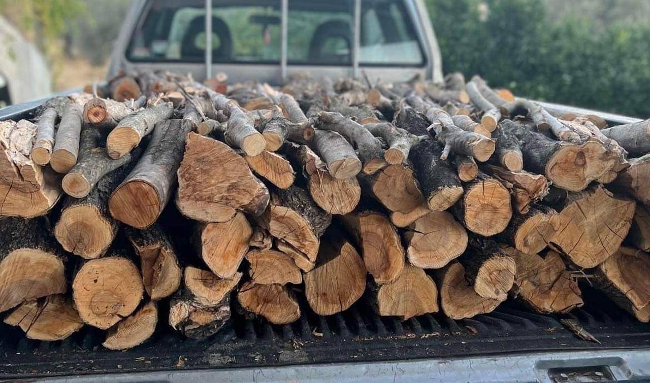 Καυσόξυλα  (3)