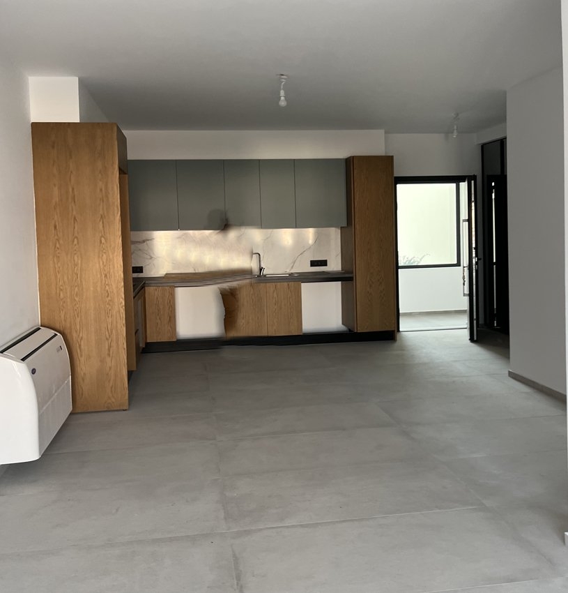 ΔΙΑΜΕΡΙΣΜΑ 55 τ.μ. (2)