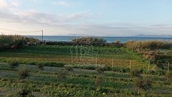 Μονοκατοικία  (4)