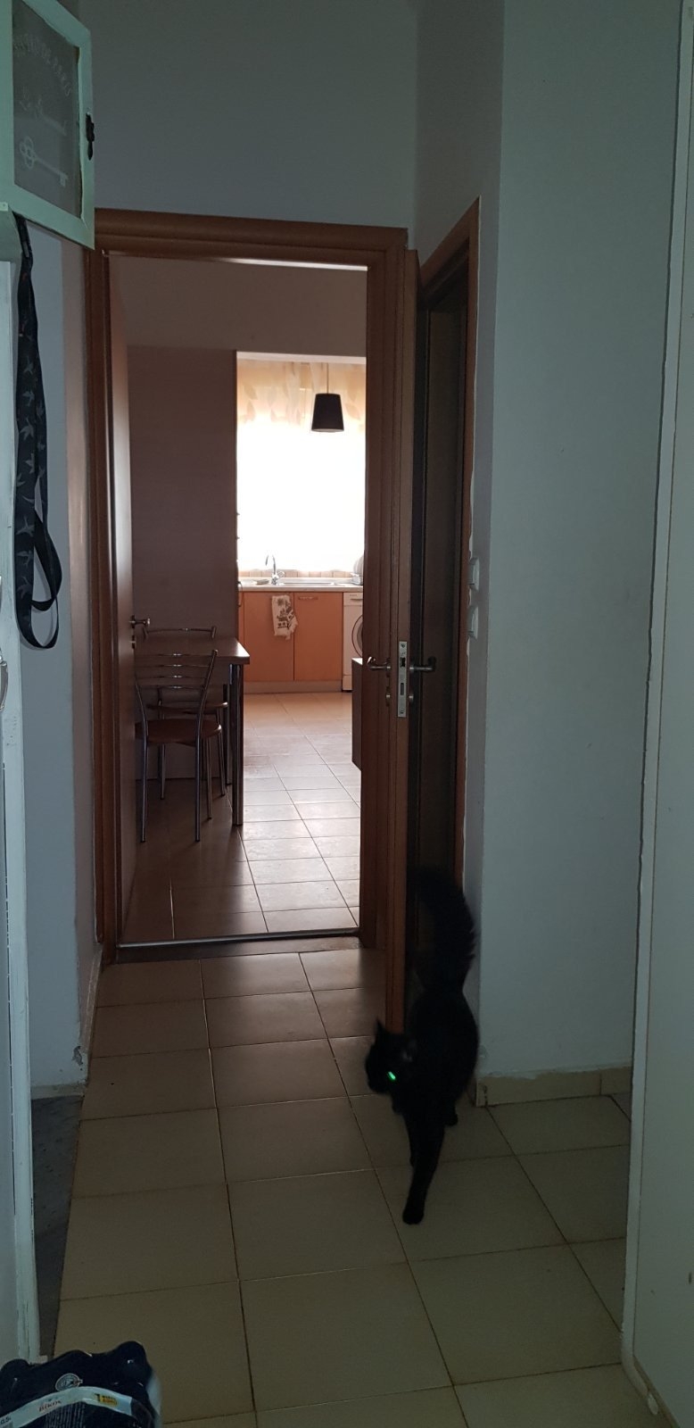 ΜΕΖΟΝΕΤΑ 80 τ.μ. (3)