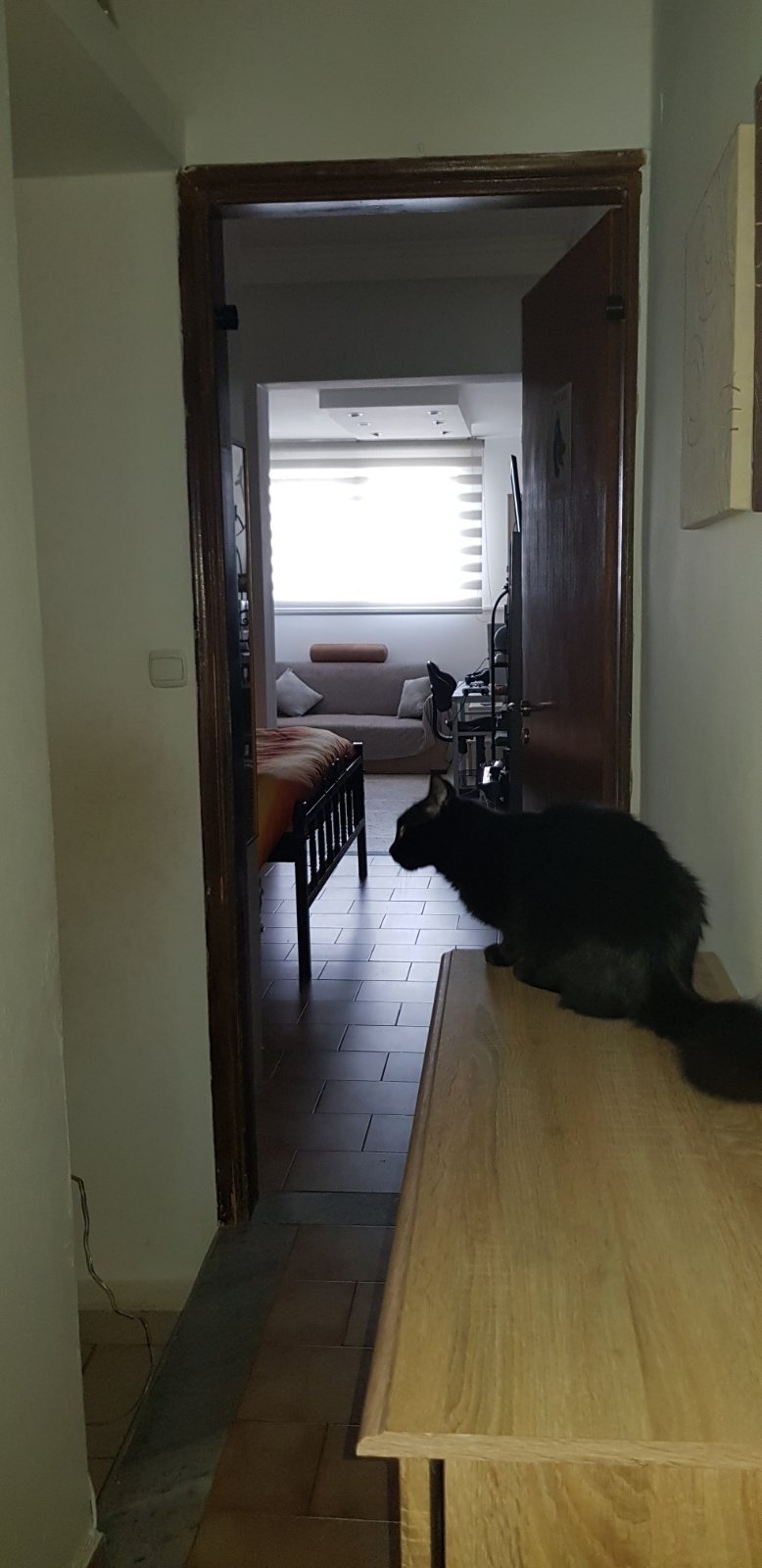 ΜΕΖΟΝΕΤΑ 80 τ.μ. (4)