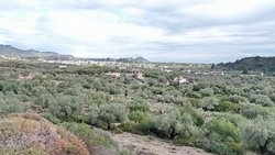 Οικόπεδο  (3)